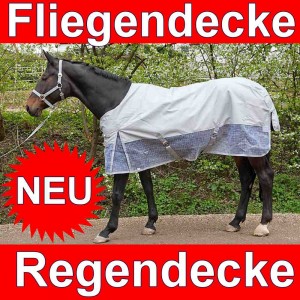 Read more about the article Sommer Regen-Fliegendecke