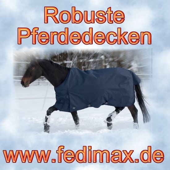 Warme Winterdecke und Regendecke für Deutsches Reitpony