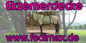 You are currently viewing Ekzemerdecke für Shetland-Pony