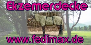 Read more about the article Ekzemerdecke für Shetland-Pony