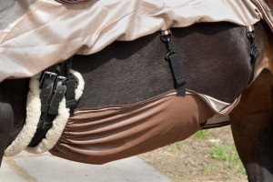 Fliegenausreitdecke mit Bauchlatz