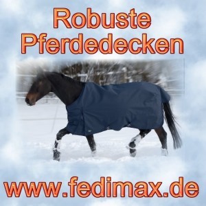 Read more about the article Robuste Winterdecke für Norweger Araber Mix