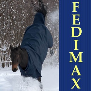 You are currently viewing Winterdecke Pferd mit viel Bewegungsfreiheit