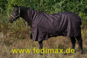 Read more about the article Pferdedecke – Regendecke für Lipizzaner Hengst