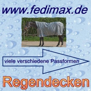 Read more about the article Regendecke für Quarter Horse Stute