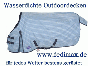 Read more about the article Wasserdichte Pferdedecke 100 g für Vollblut Offenstall