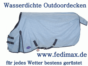 Read more about the article Outdoordecke für Pferd im Offenstall Araber Halbblut