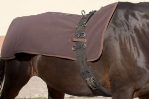 Rückenwärmer Pferd mit Abschwitzfunktion Rückenwärmer Pferd