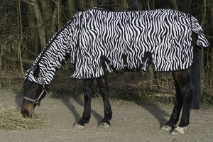 You are currently viewing Zebra Fliegendecke für Pferde