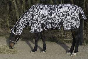 Read more about the article Zebra Fliegendecke für Pferde