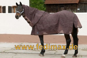 Read more about the article Ekzemerdecke Robustomax für New Forest Pony