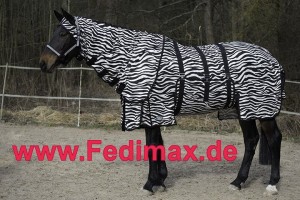 Fliegendecke Zebra und Fliegenschutzmaske Zebra für die Weide