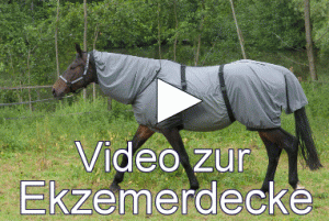 You are currently viewing Ekzemerdecke Pferd mit Ohrenschutz