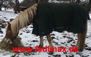 Read more about the article Regendecke mit Abschwitzfunktion für Haflinger