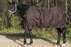 Read more about the article Outdoordecke für Warmblut – Westfale