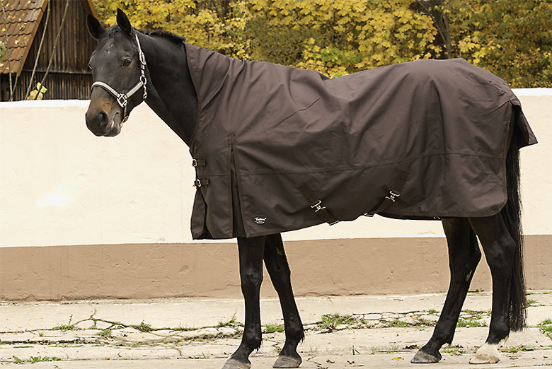 Read more about the article Sommer Regendecke mit Halsteil schützt das Pferd auf der Weide