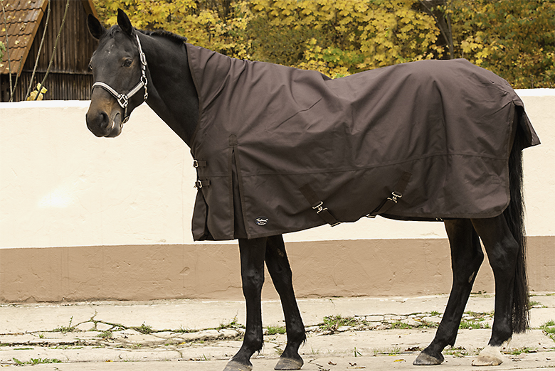 Read more about the article Outdoordecke für Reitpony Araber-Mix in Offenstall