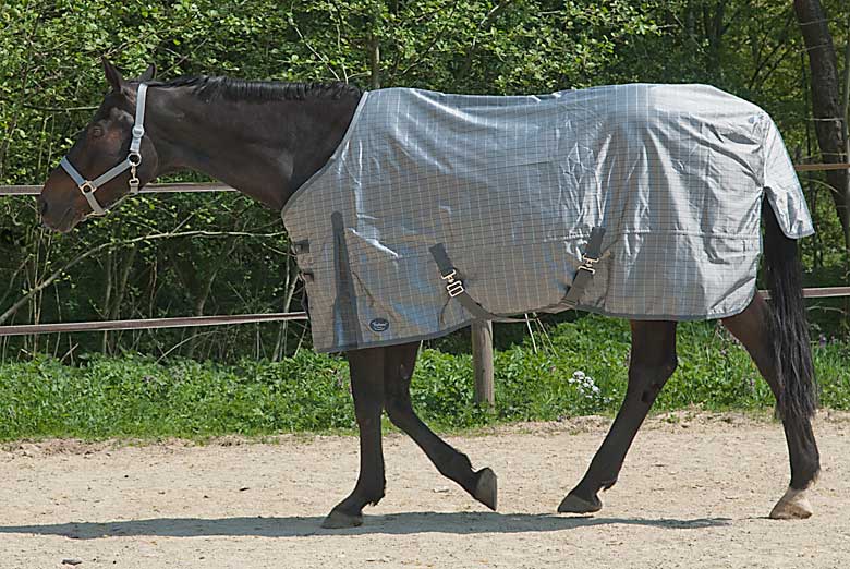 You are currently viewing Pferdedecke mit Abschwitzfunktion für Quarterhorse im Offenstall