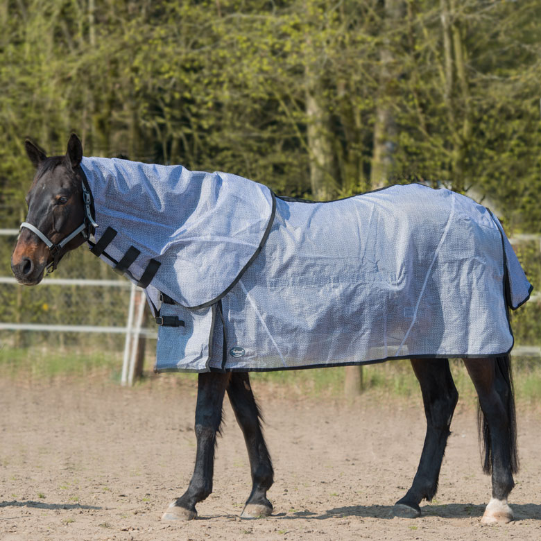 Ekzemerdecke Irish-Cob